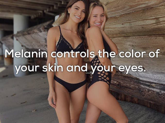 Is Everything Of This Really About Our Skin?!
