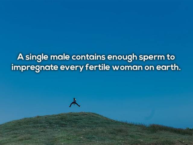 These Sexy Facts Are Just What You Desire