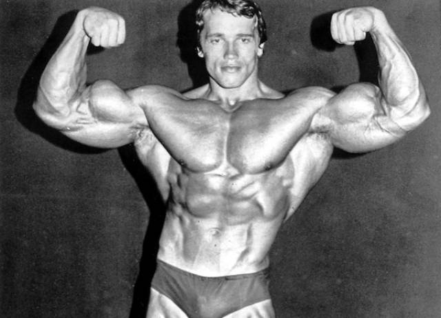 20 Educating Facts About Arnie