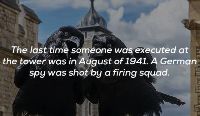 16 Towering Facts About The Tower Of London