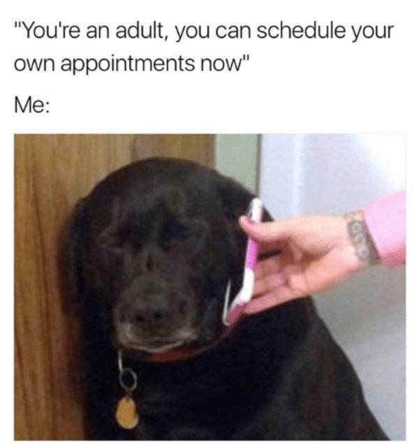Memes About Becoming An Adult Never Grow Old