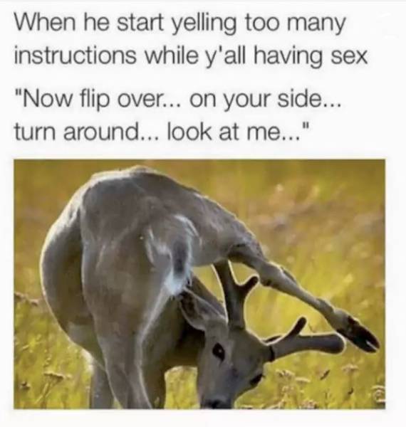 Sex Memes Are Yet Another Enjoyable Thing About Sex