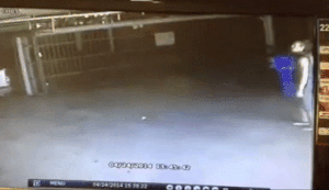 Security Cams See What No Man Would Want To Have Seen