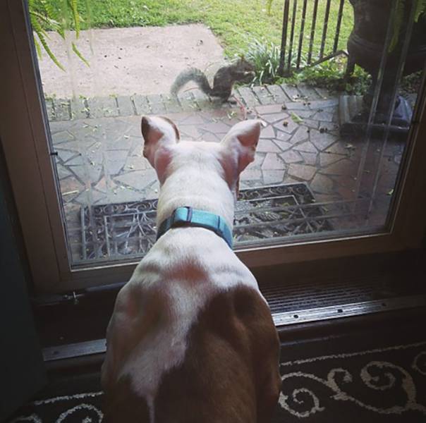 This Squirrel Never Forgot Who Saved Her Life
