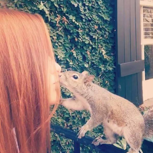 This Squirrel Never Forgot Who Saved Her Life