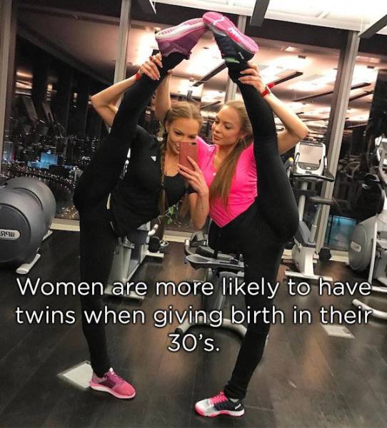 Identical Facts About Twins