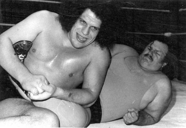 Gigantic Facts About Andre The Giant