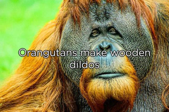 NSFW Facts You Should Probably Read Alone