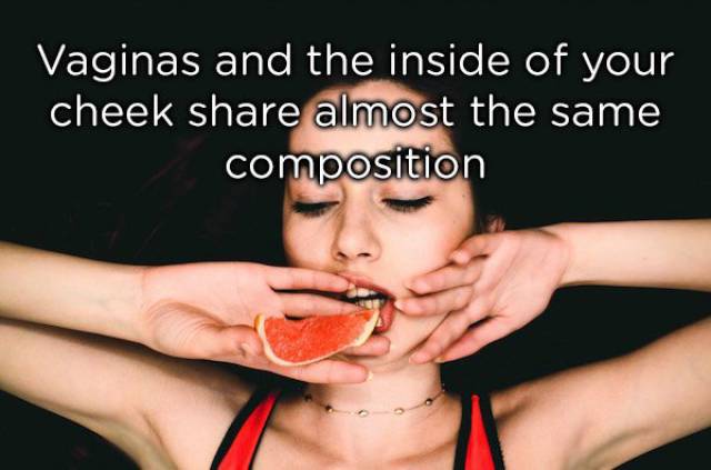 NSFW Facts You Should Probably Read Alone