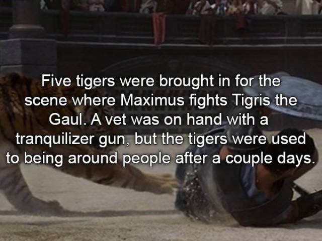 Merciless Facts About “Gladiator”