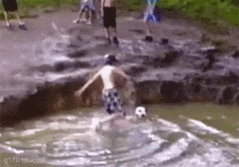 GIFs Of Stupidity At Its Finest