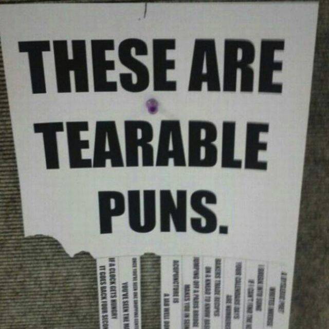 This Post Is Really Punny!