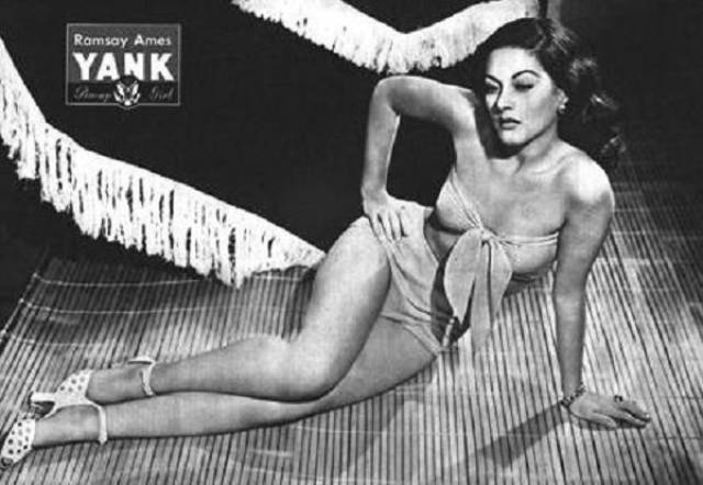 Vintage Pin Up Girls Inspired The US Army During World War II
