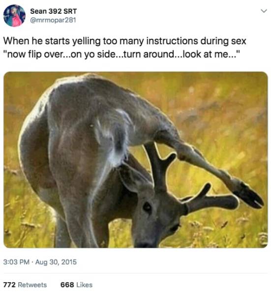 A New Portion Of Sex Jokes Is Here