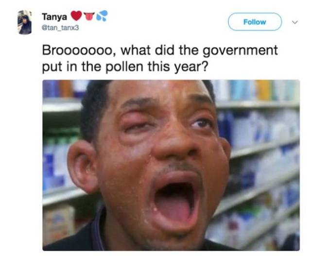 Don’t Sneeze On These Allergy Season Memes