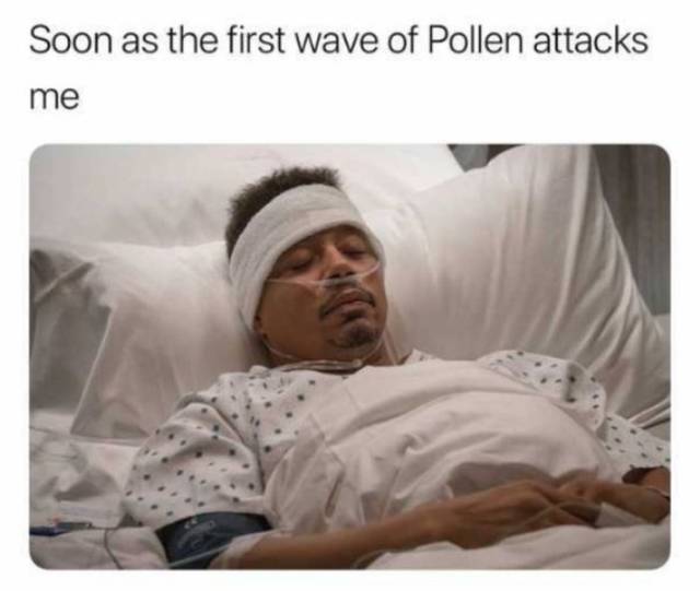 Don’t Sneeze On These Allergy Season Memes