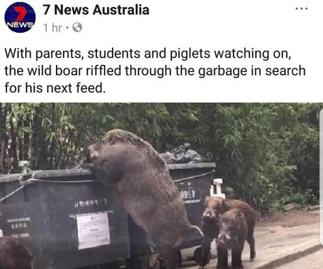 Australia: Where Very Good Comes With Very Bad