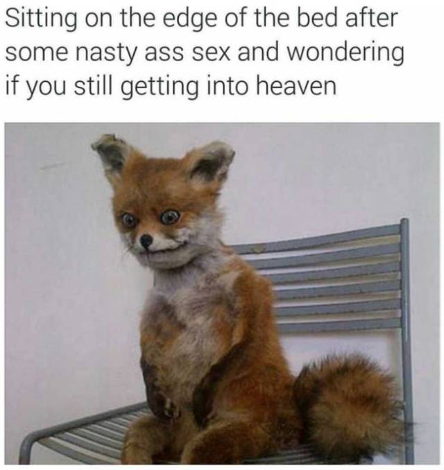 Sex Memes To Get You All Fired Up