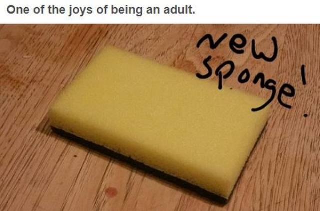 Being Adult Brings New Memes To The Table