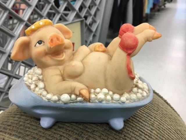 Thrift Shops Shouldn’t Be Allowed To Sell This
