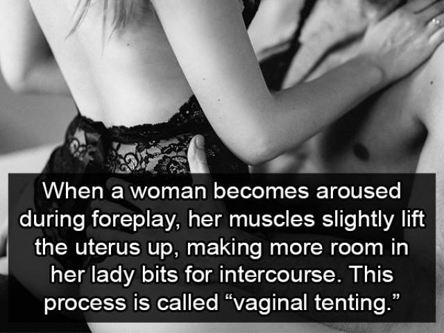 Foreplay Facts You Definitely Need To Apply In Practice