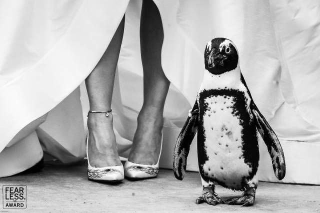 The Best Wedding Photos Of 2018 Show Why You Always Need A Good Photographer At Weddings