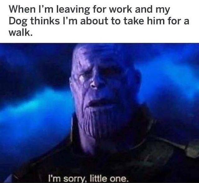 Work Memes For Those Who Feel This Pain