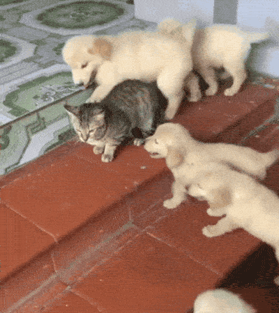 Fail GIFs Are Both Hilarious And Educational