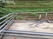 A For Idea. F For Execution (VIDEO)