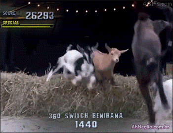 GIF Science At Its Absolute Best