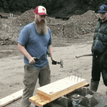 Hammers Are Made To Nail It!