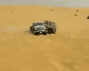 You Didn’t Expect These Unexpected GIFs