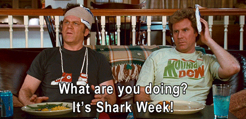 “Step Brothers” Quotes Are Hilariously Brutal