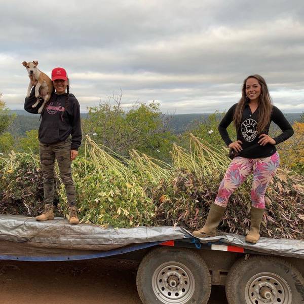 These Three Girls Live In Californian Wilds, Grow Marijuana, And Fight Bears (Maybe)