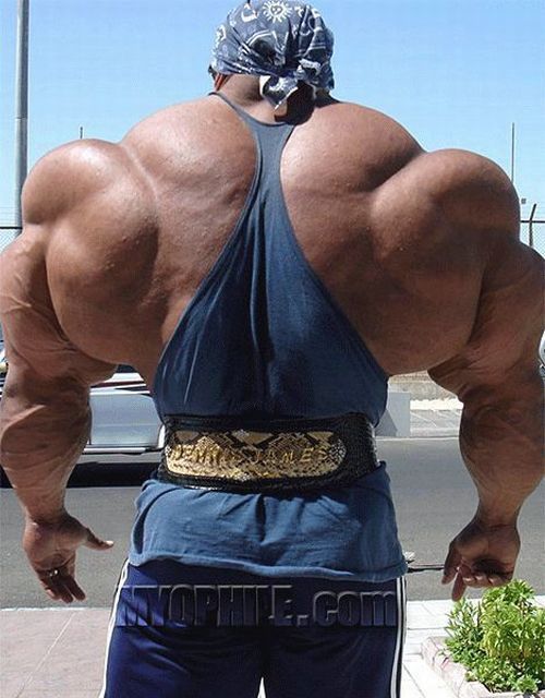 Mountains of muscles (47 pics)