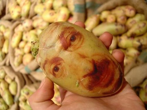 Potatoes can have faces (20 pics)
