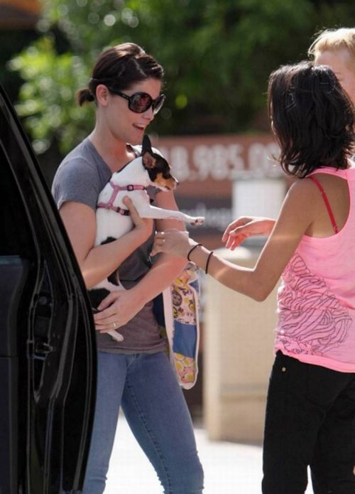Ashley Greene meets with her friends (17 pics)