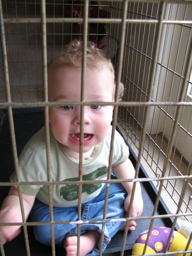 Children in cages (30 pics)