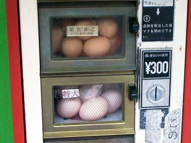 Only in Asia (145 pics)