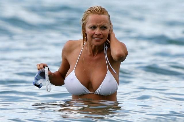 Pamela Anderson on the Beach (12 pics)