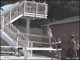 Funny Gif Collection (33 gifs)