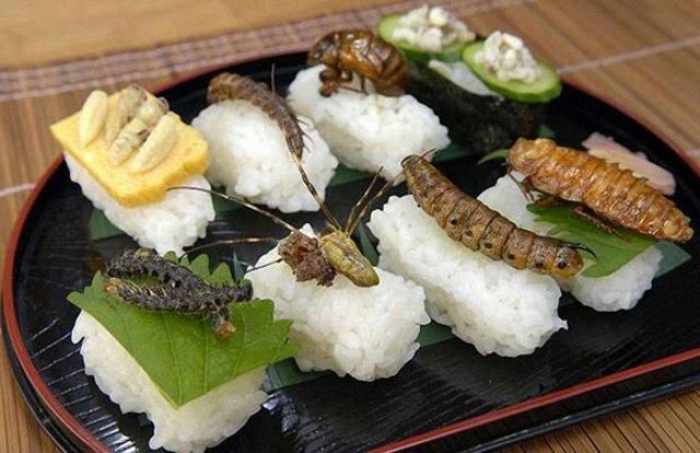 Creepy Crawly Japanese Delicacies