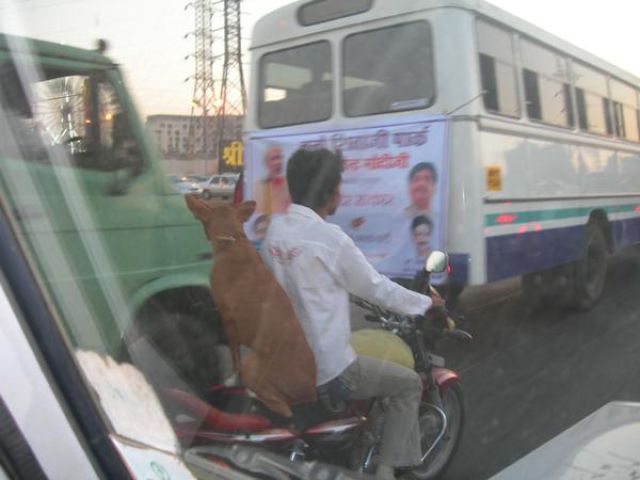 Only in India. Part 3