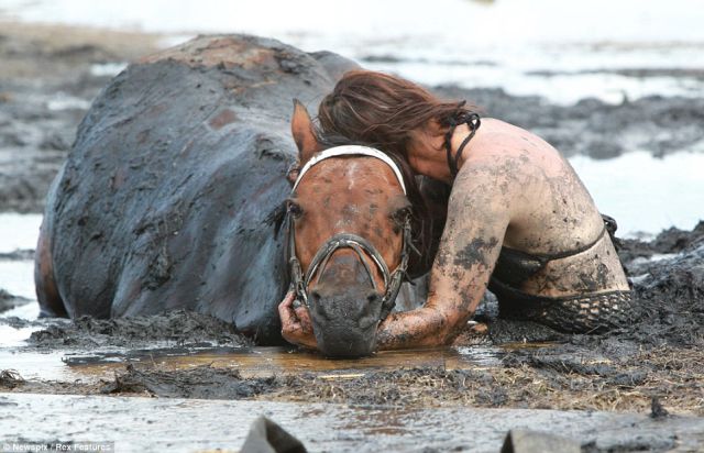 Woman and Her Horse saved from the Quagmire