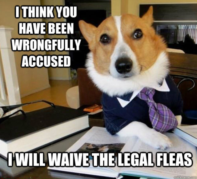 The Hilarious Lawyer Dog Meme