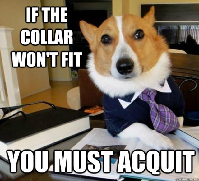 The Hilarious Lawyer Dog Meme