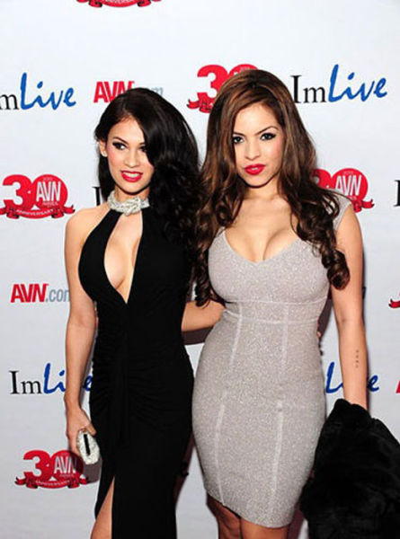 A Big Night for Porn Stars: 2013 AVN Awards
