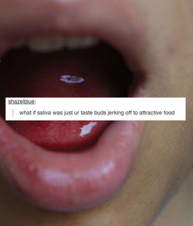 Tumblr Sheds a New Light on Everyday Items