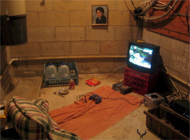 Video Gamers Who Live in a Pigsty