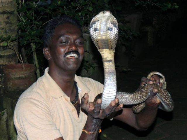 The Bravest Snake Expert on the Planet